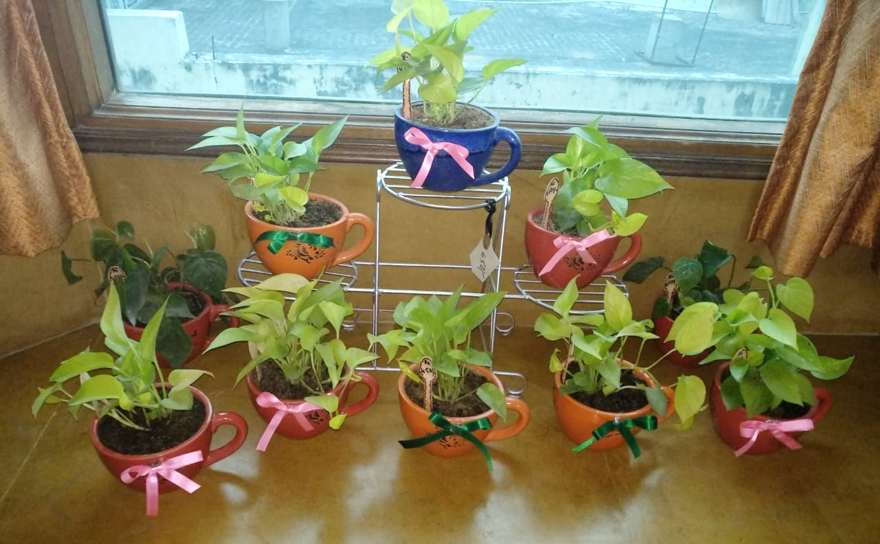 Air Quality Solution